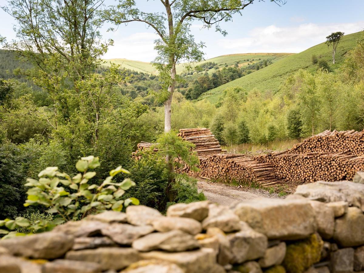 Red Kite Barn - Charming Boutique Barn Conversion Newbridge on Wye Екстериор снимка